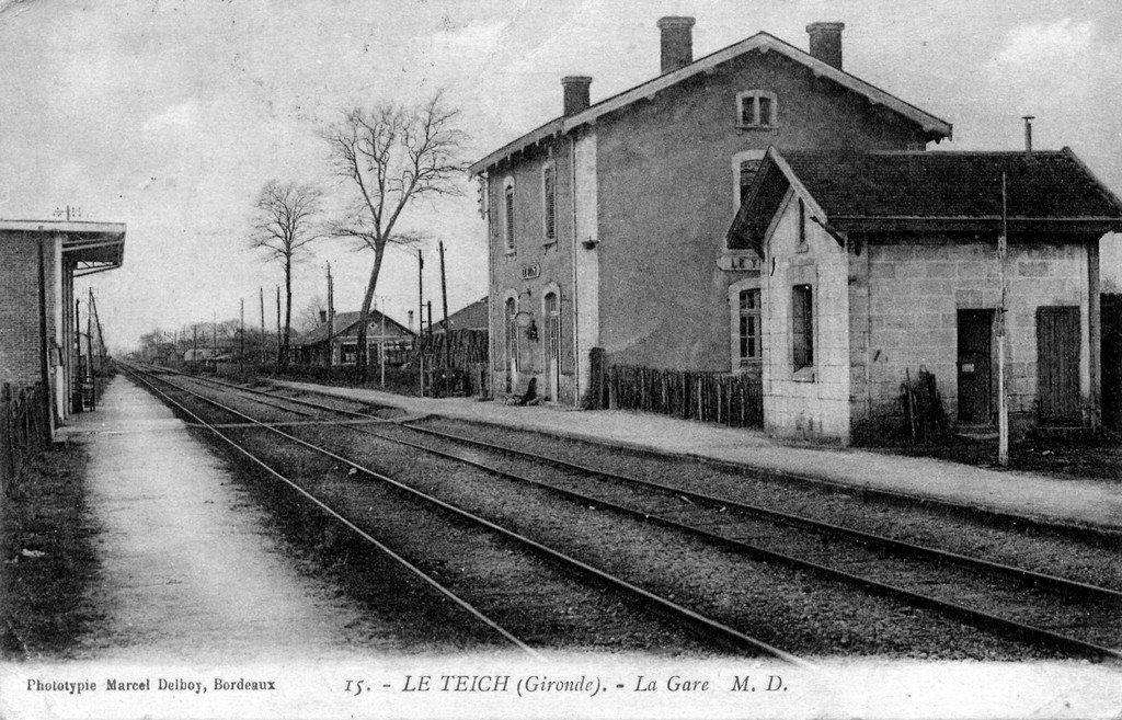 Le Teich (33).jpg