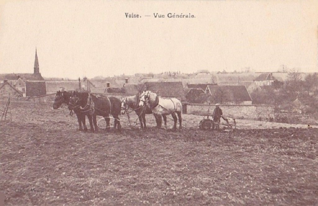 28 voise - vue générale.jpg