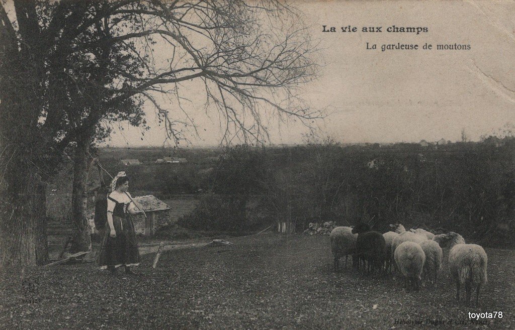 Gardeuse de moutons.jpg