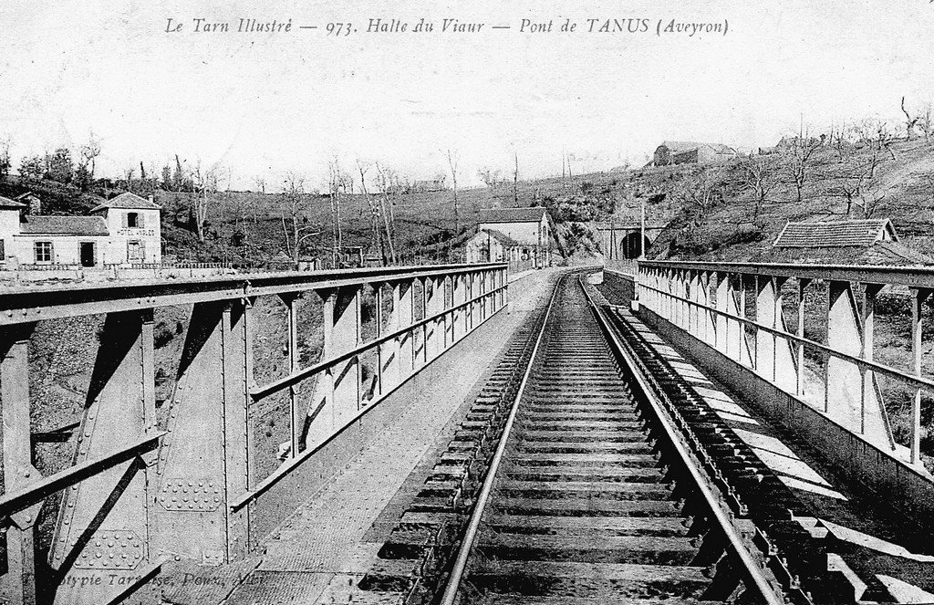 Viaduc du Viaur ou Pont de Tanus (973).jpg