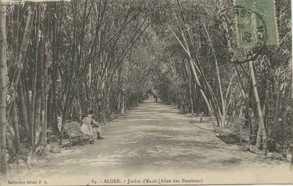 Z - ALGER - Jardin d'Essai 84 PS.jpg