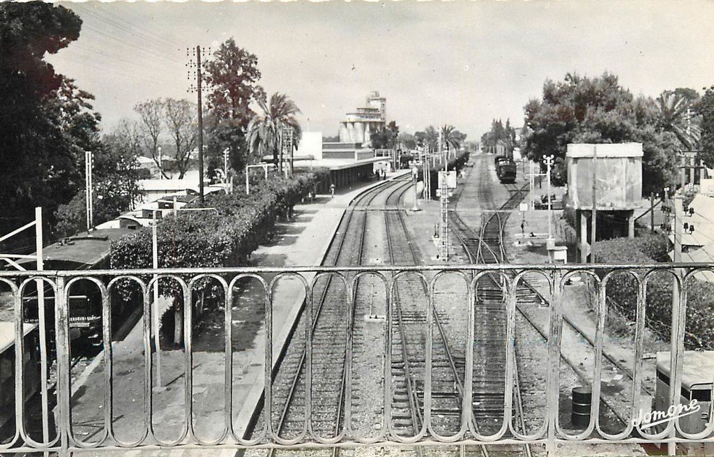 Orléansville 1955.jpg