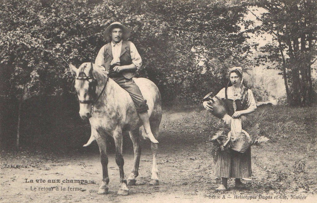 Z - A - Le retour à la ferme.jpg