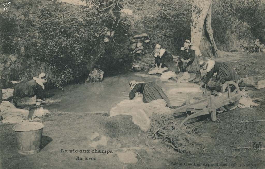 Z - C - Au lavoir.jpg