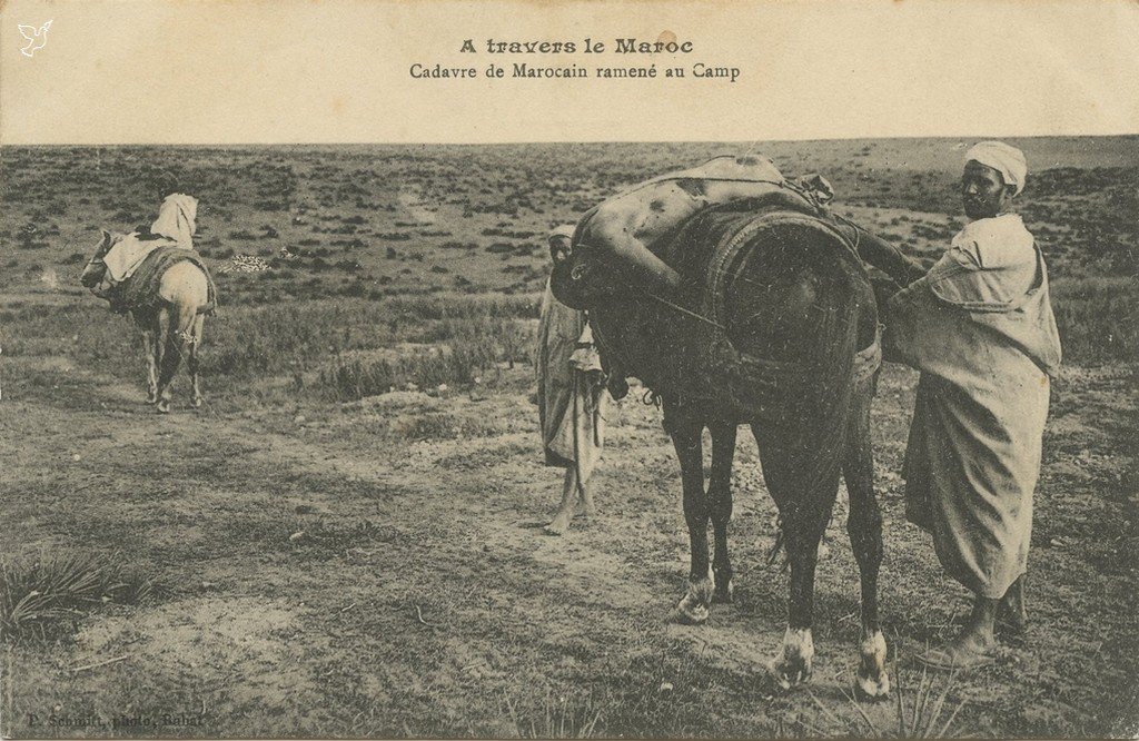 Z - A travers le Maroc - Cadavre au camp.jpg