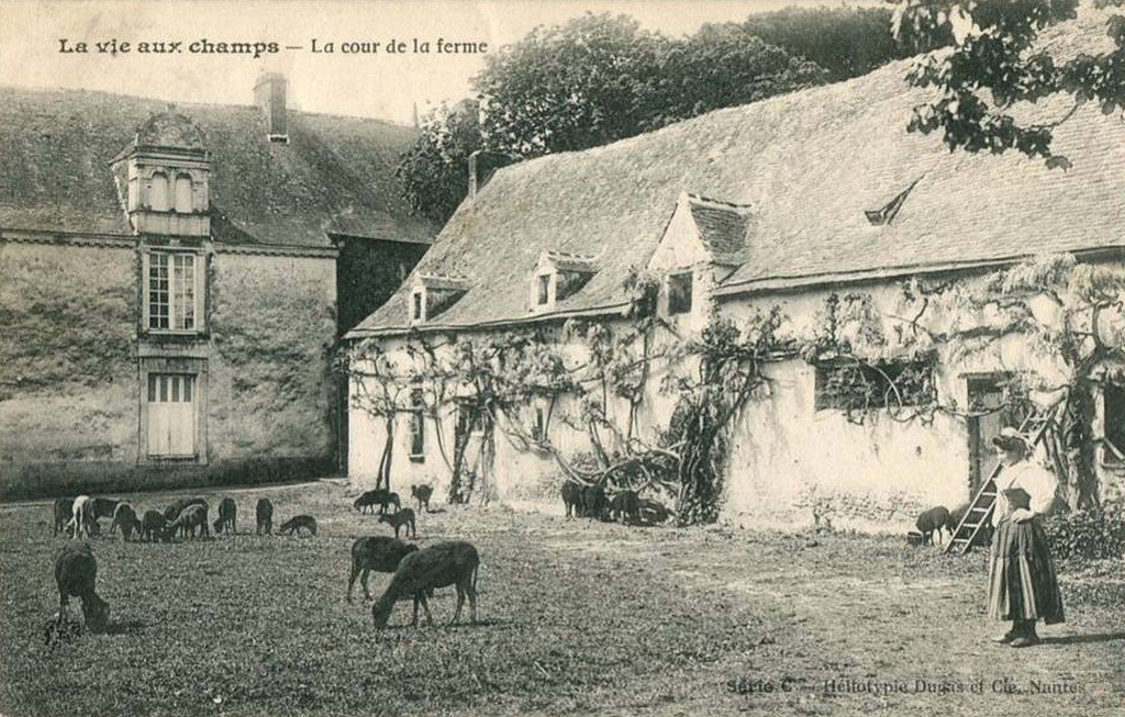 Z - C - La cour de la ferme.jpg