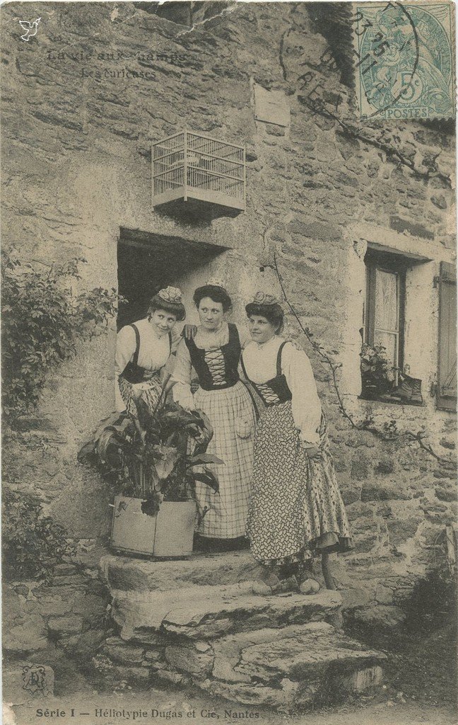 Z - I - Les curieuses.jpg