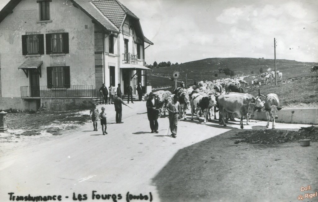 25-Les-Fourgs-Doubs-Transhumance-Photo Gigandet-Pontarlier.jpg