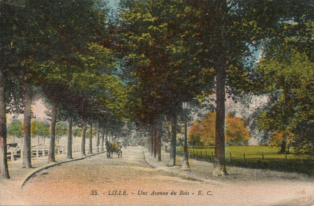 59-Lille-Une-Avenue-du-Bois-35-EC.jpg