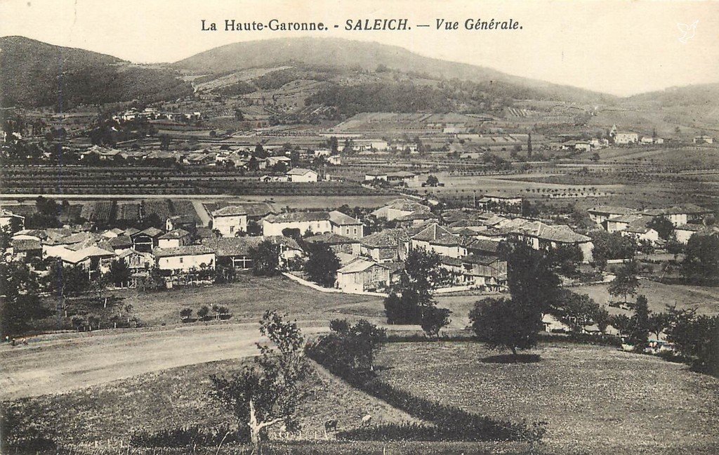 Z - Saleich.jpg