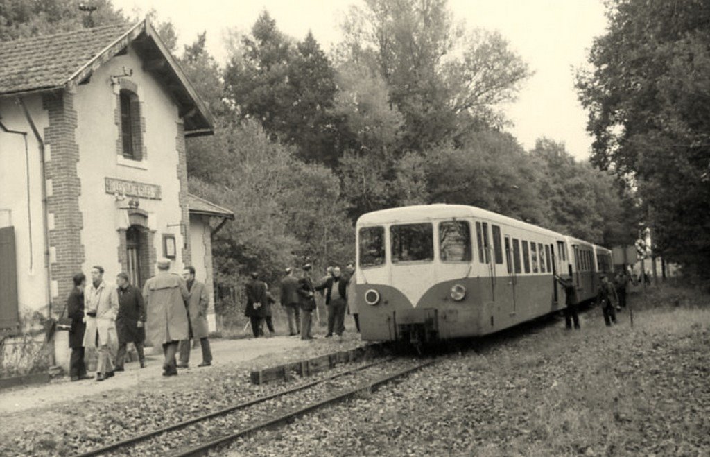 Pruniers en Sologne-Les 4 Roues (41) 7-09-2020.jpg