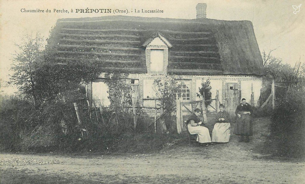 Z - Prépotin.jpg