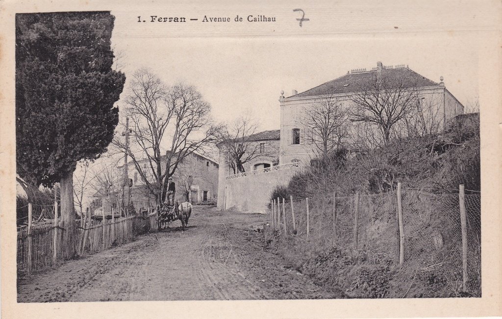 Ferran - Avenue de Cailhau.jpg