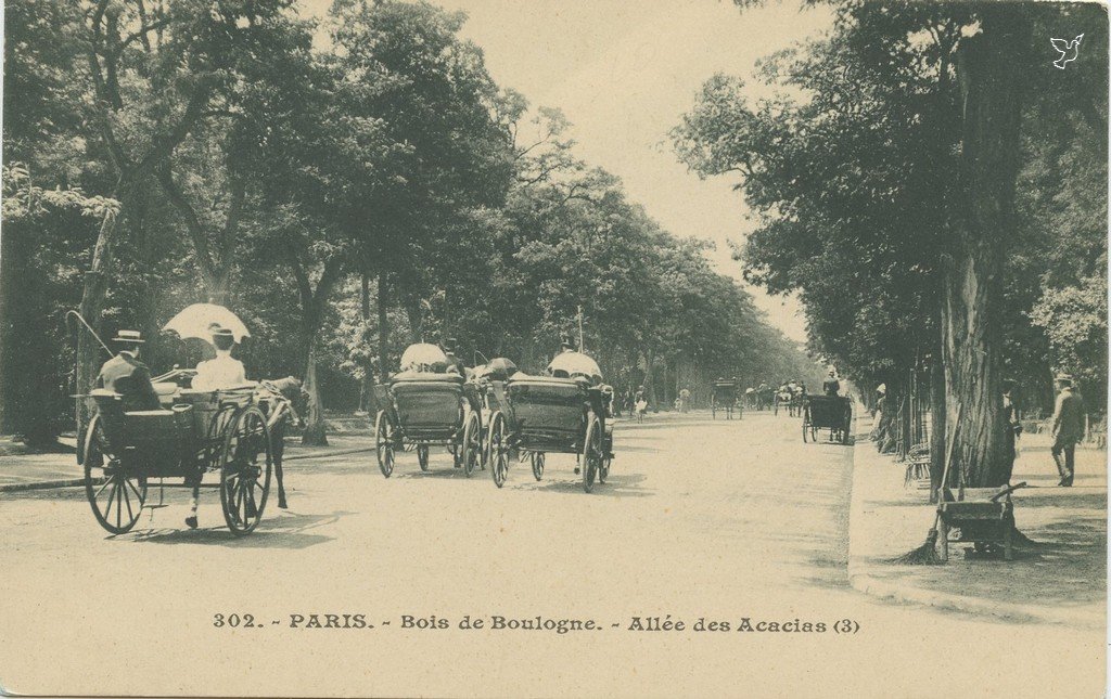 ZZ302. - PARIS. - Bois de Boulogne - Allée des Acacias (3).jpg