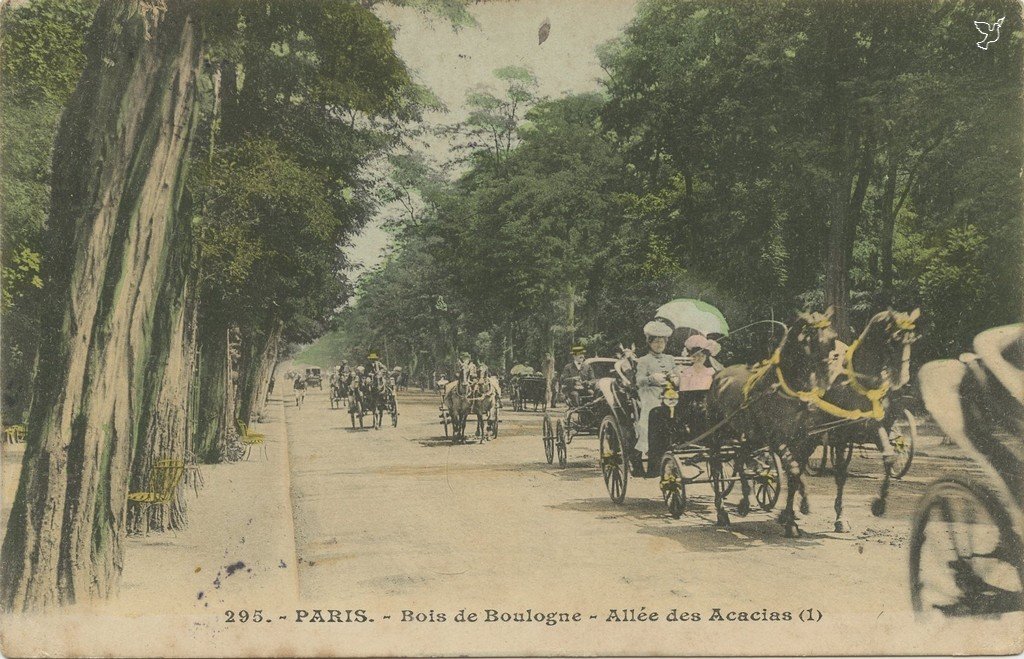ZZ295. - PARIS. - Bois de Boulogne - Allée dees Acacias (1).jpg