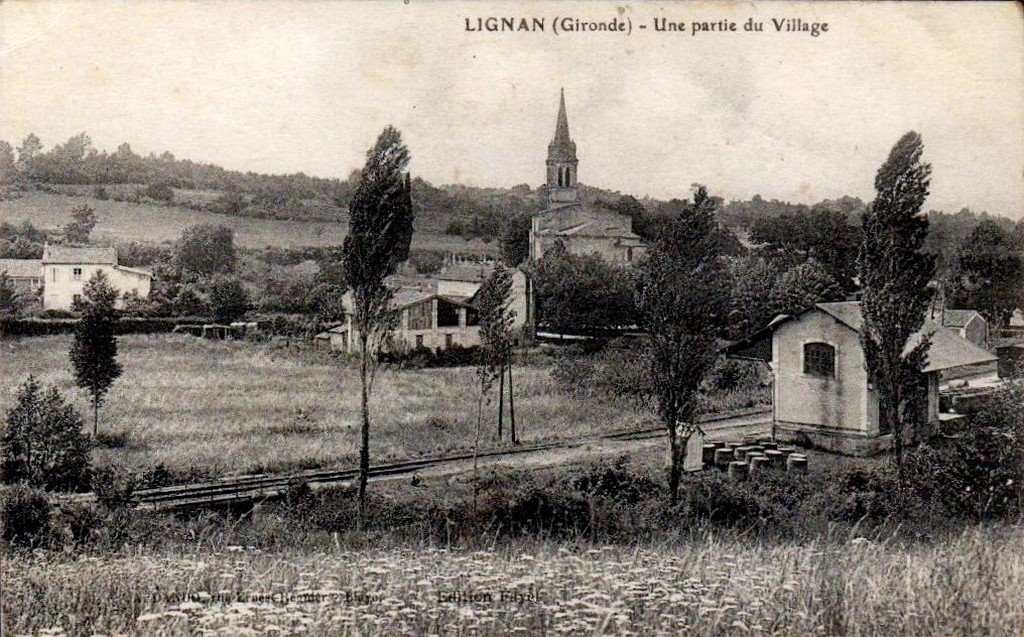 Lignan 33 12-04-14.jpg