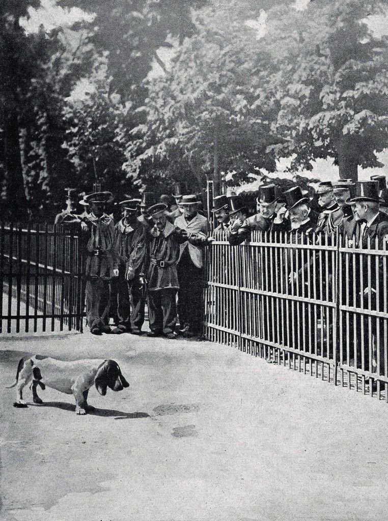 23 Paris Exposition Canine 1901 Président Loubet.jpg