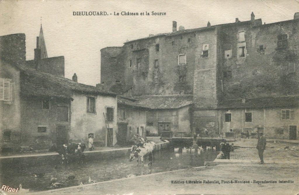 54-Dieulouard - Source et Château.jpg