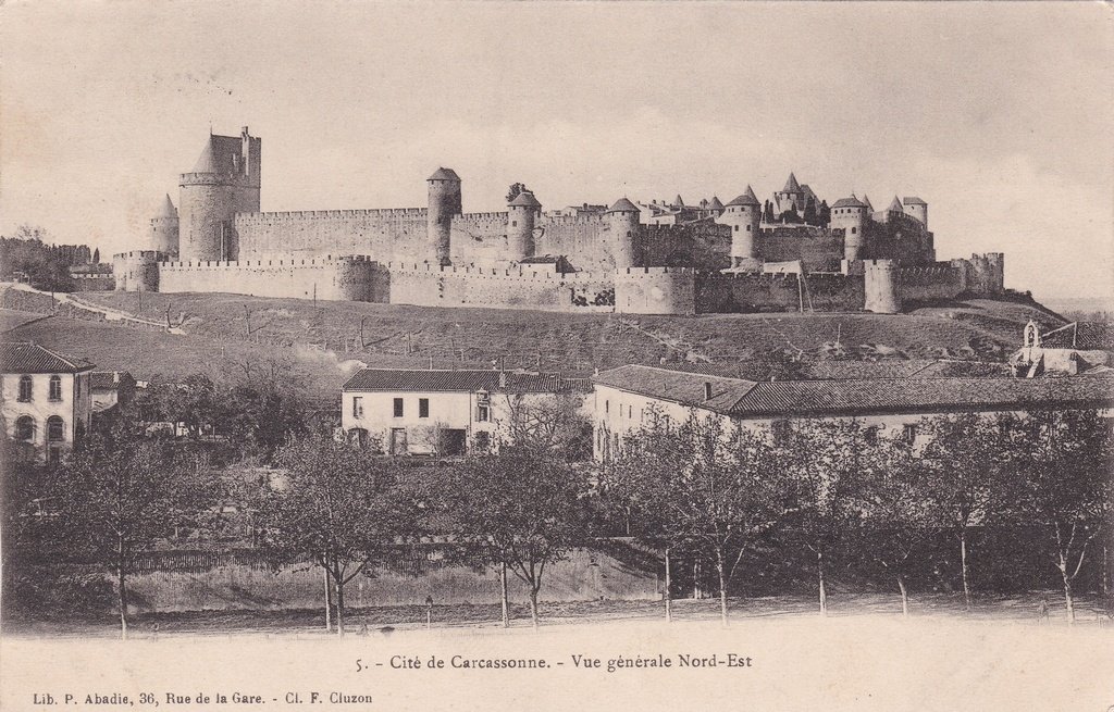 Carcassonne - Vue générale Nord-Est.jpg