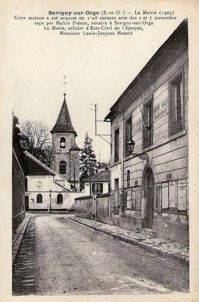 Savigny 91  8-10-12.jpg