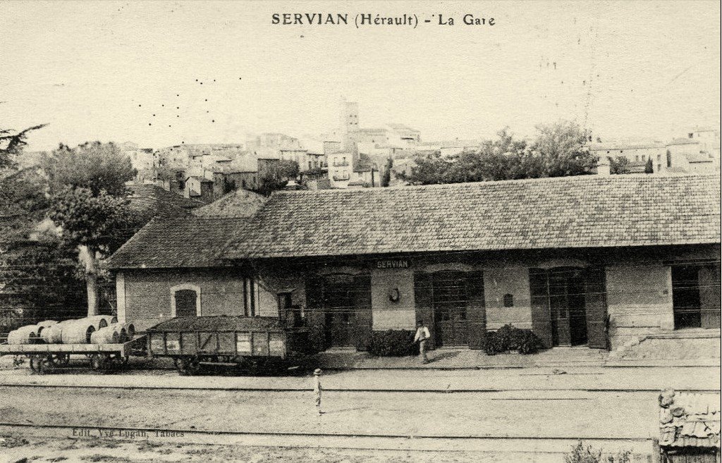 Servian 34  13-12-15.jpg