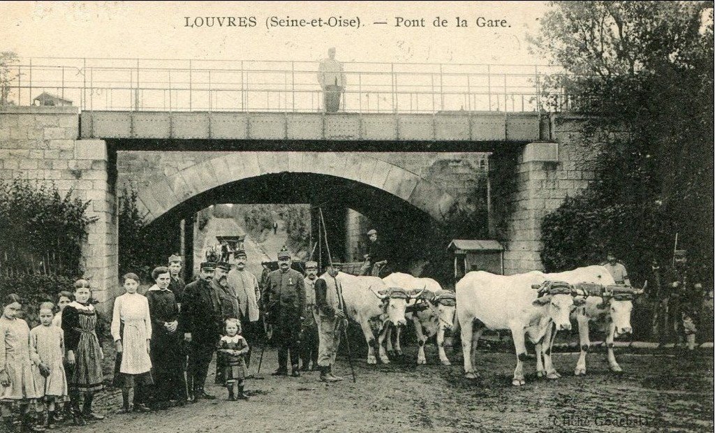 Attelage de boeufs-Louvres 95  17-11-15.jpg