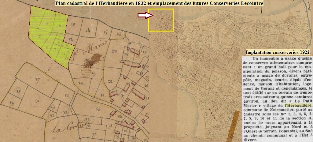 L'Herbaudière - Plan cadastral 1832, emplacement futures conserveries.jpg
