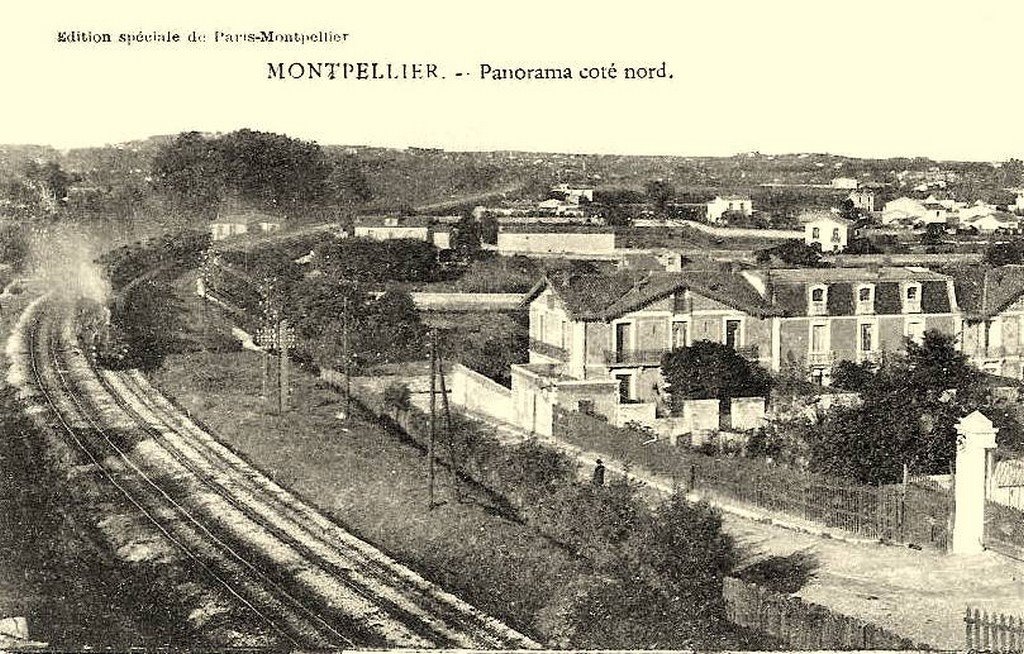 Montpellier 34  29-7-13.jpg