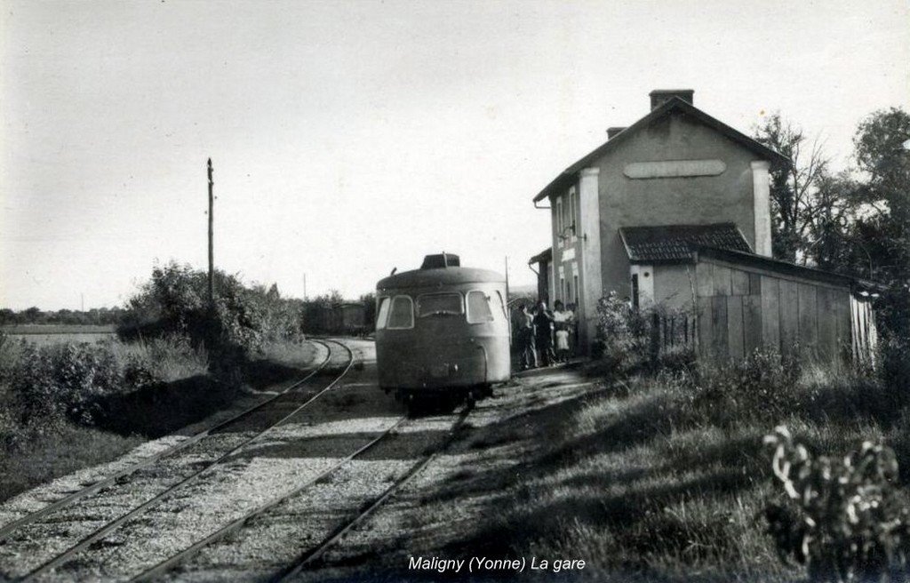 Maligny 89  26-7-13.jpg