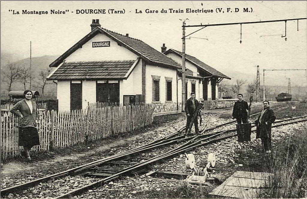 Dourgne 81  27-8-13.jpg