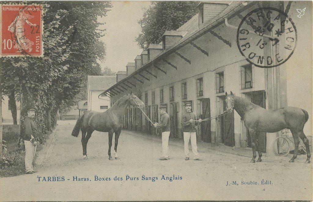 Z - Haras, boxes des pur sangs anglais.jpg