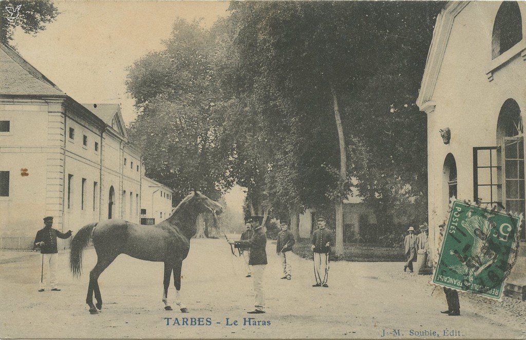 Z - le haras.jpg