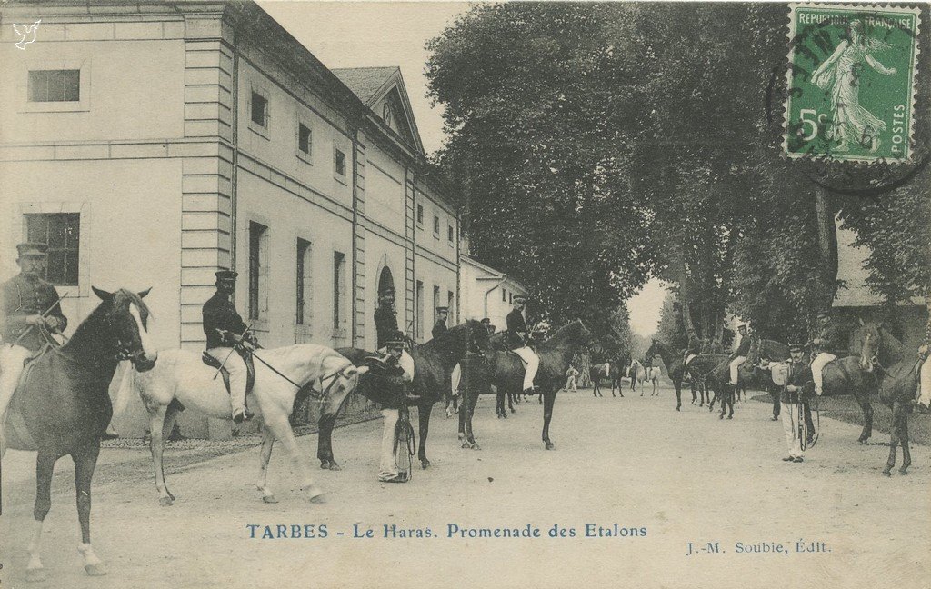 Z - Le Haras. Promenade des Etalons.jpg