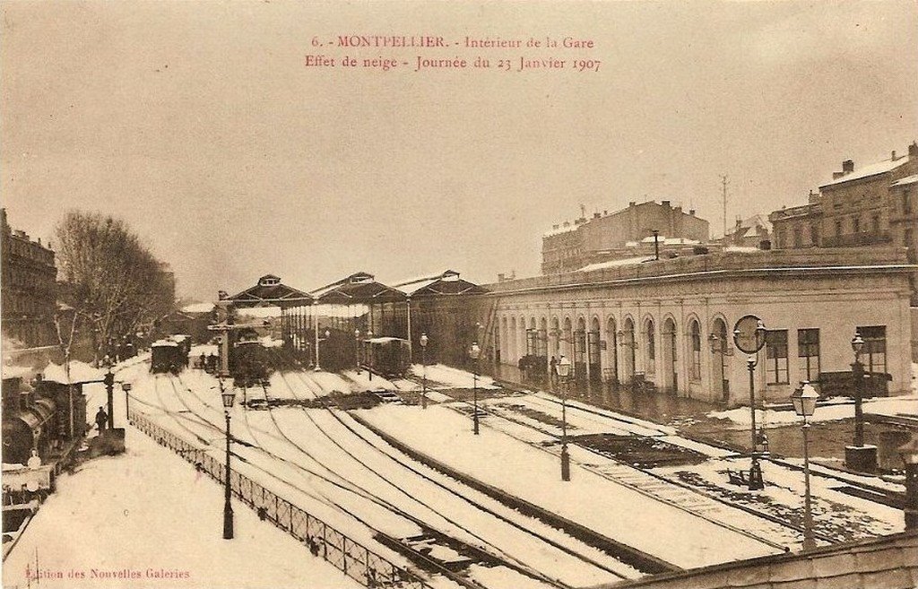 Montpellier 34  29-7-13.jpg