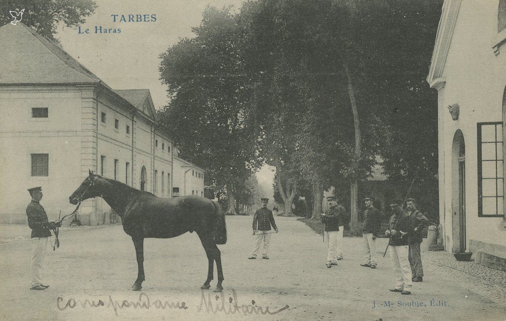 Z - le  Haras.jpg