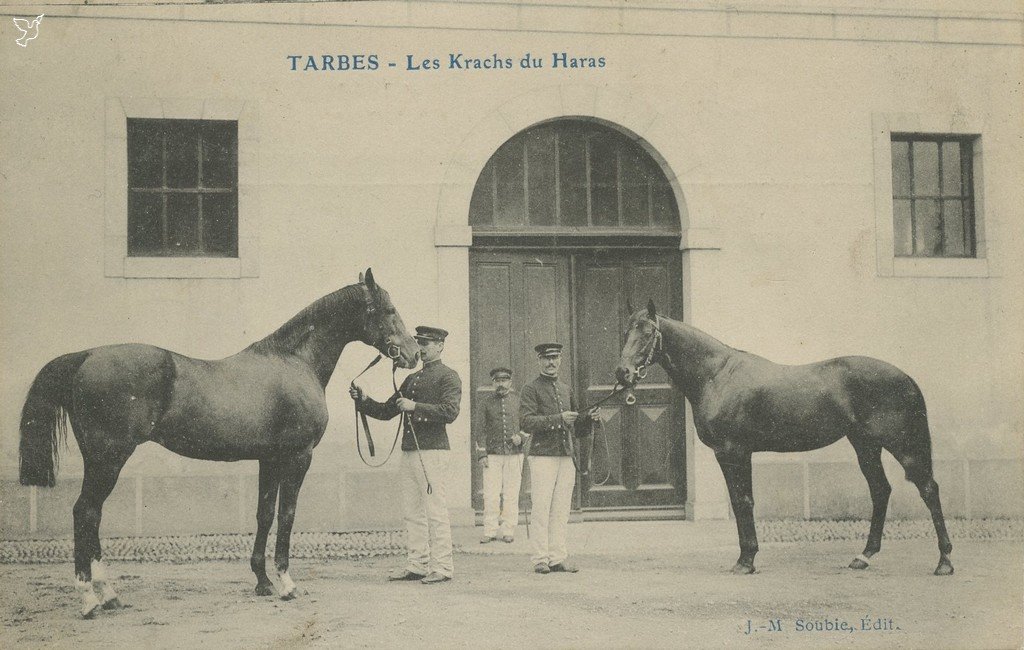 Z - les krachs du haras.jpg