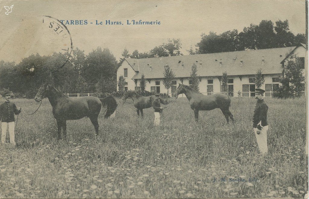 Z - Le Haras - L'Infirmerie.jpg