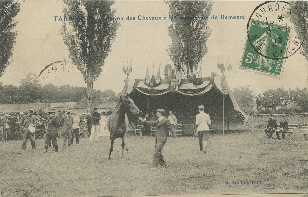 Z - Présentation des chevaux à la commission de remonte.jpg