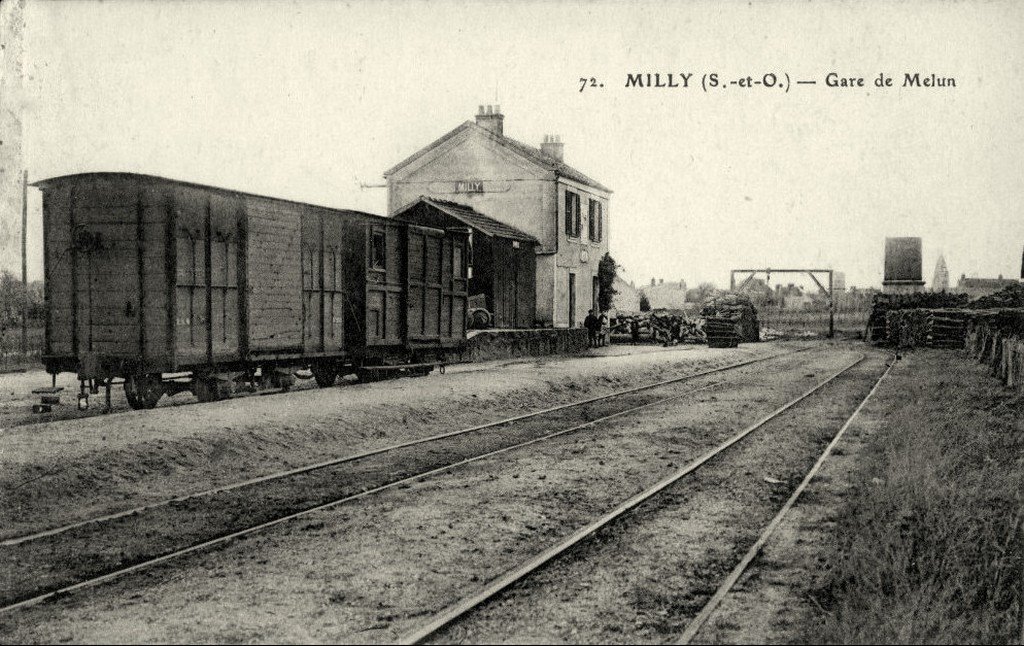 Milly 91.jpg