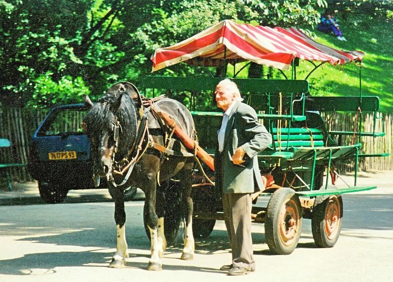 Parc des Buttes Chaumont Cheval et charette.jpg