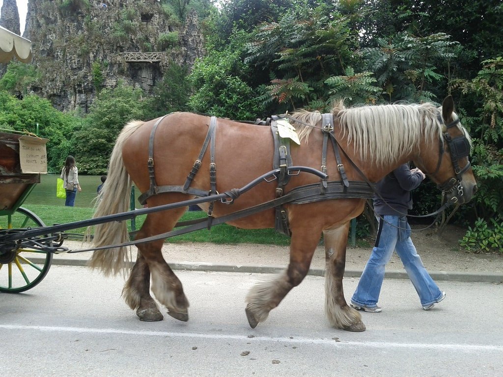 Parc des Buttes Chaumont 67.jpg