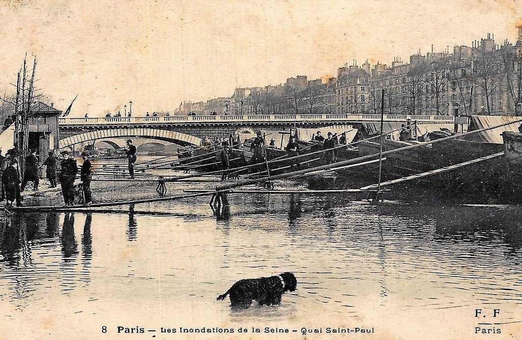 Inondation-Paris 806.jpg