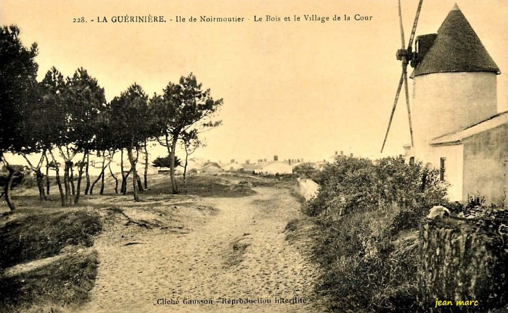 La Guérinière - Le Bois et le Village de la Cour.jpg