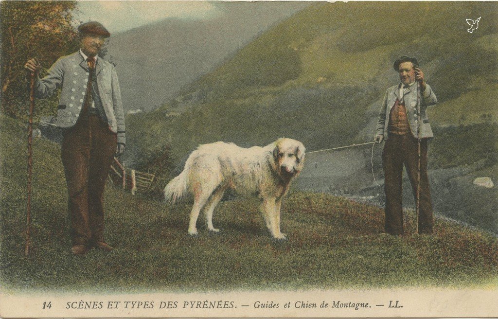 Z - LL 14 - Guides et chien des Pyrénées.jpg
