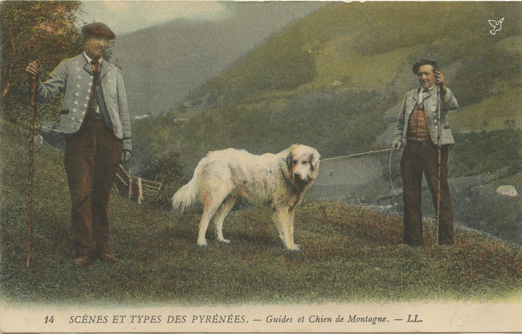 Z - LL 14 - Guides et chien des Pyrénées.jpg