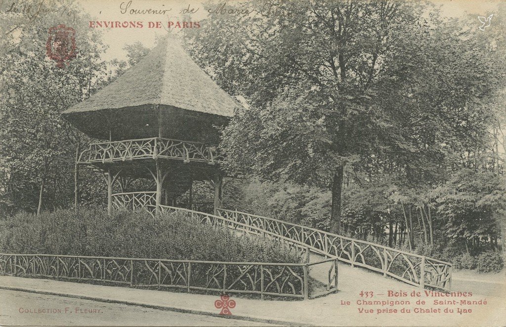 Z - 433 - Bois de Vincennes Champignon de Saint-Mandé.jpg