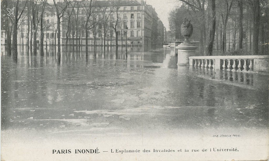 Z - STAERCK - Esplanade des Invalides.jpg