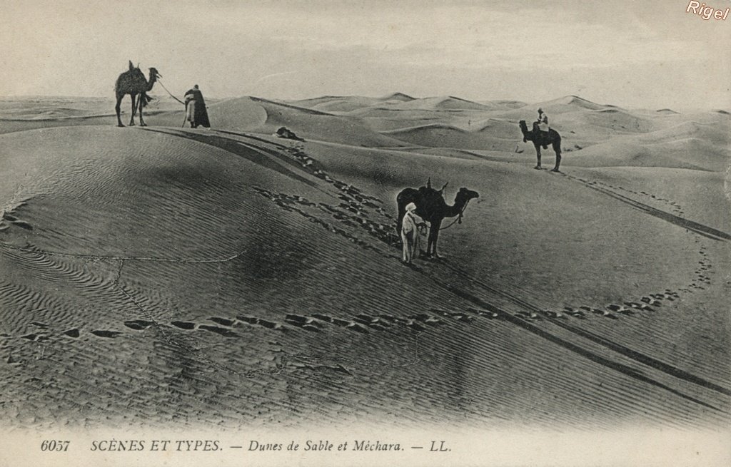 99-Alg-Scenes et Types - Dunes de Sable et Méchara - 6057 LL.jpg
