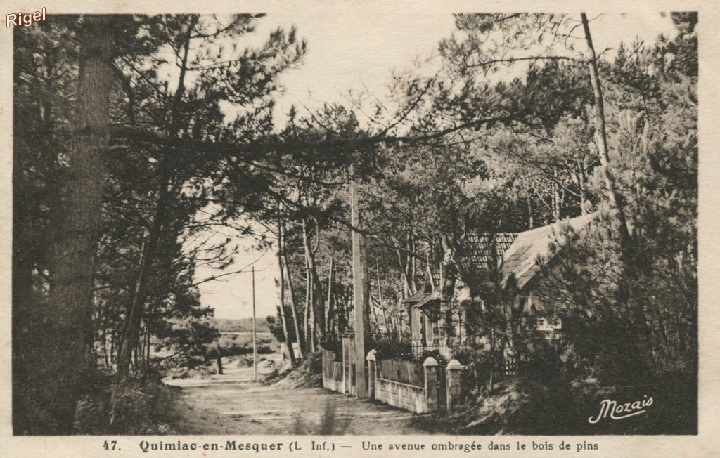 44-Mesquer.jpg