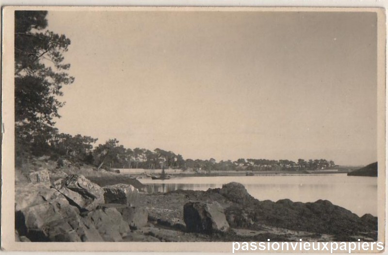 Plage rochers [800].JPG